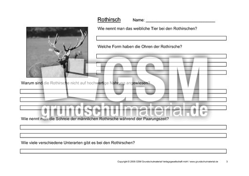 Rothirsch-Fragen-3.pdf